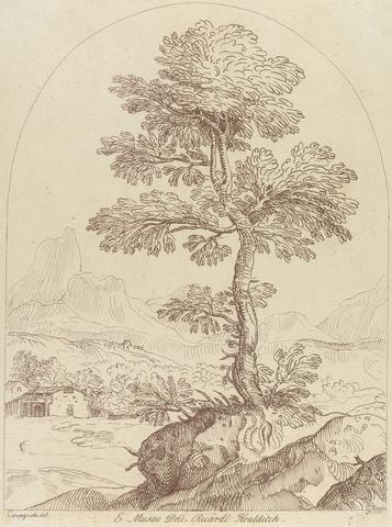George Knapton Untitled: Pastoral scene with tree