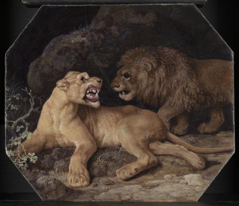 George Stubbs Lion and Lioness
