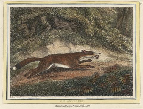 Samuel Howitt The Hunted Fox