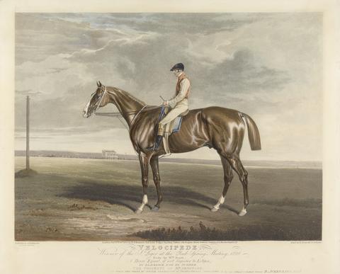 Edward Duncan Velocipede. Winner of the St. Leger at the York Spring Meeting. 1828