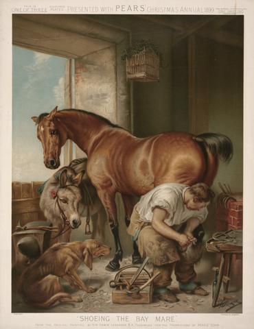 unknown artist "Shoeing the Bay Mare"