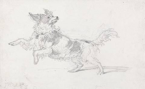 James Ward Lady Londonderry's Dog