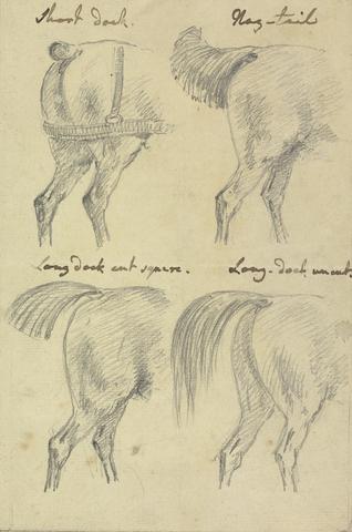 Sawrey Gilpin Four Sketches of Horse Tails