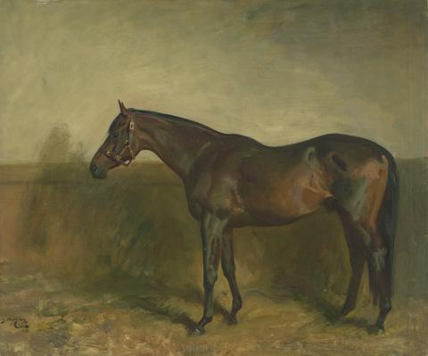 Portrait of Lord Derby's Stallion, "Fairway", painted at Newmarket