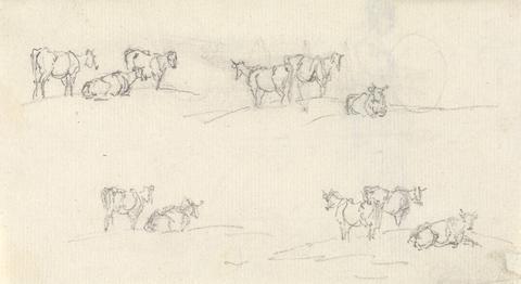 Sawrey Gilpin Studies of a Cattle