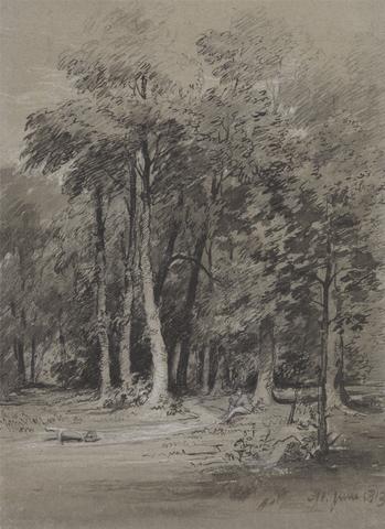 Henry Monro A Wooded Track