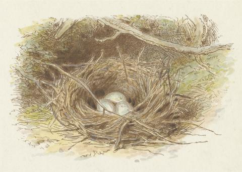 Alfred W. Cooper The Deserted Nest (tail piece)