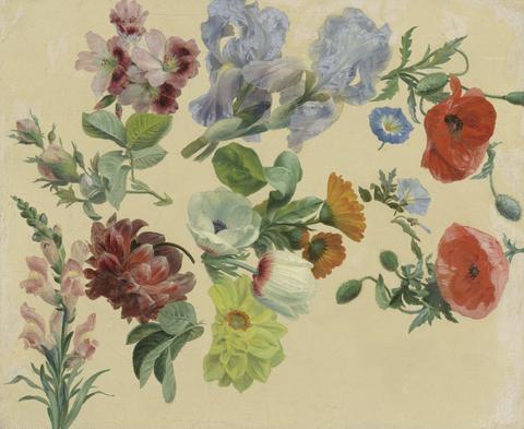 Jacques-Laurent Agasse Studies of Summer Flowers