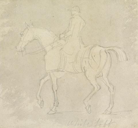 James Seymour Whitefoot at Exercise: Hooded and Rugged, Jockey up, Walking to Left
