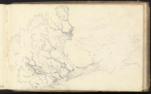 Album of Landscape and Figure Studies: Sketch of a Large Tree