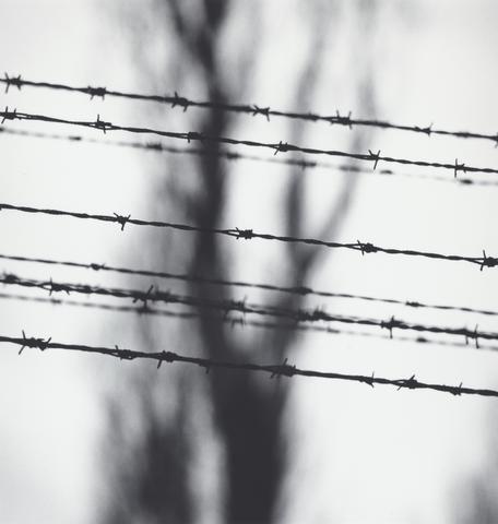Michael Kenna Barbed Wire Fence, Birkenau, Poland