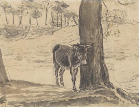 John Linnell Donkey Beside a Tree, Hampstead