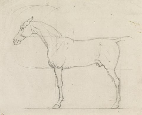 James Seymour Profile of a Horse Facing Left