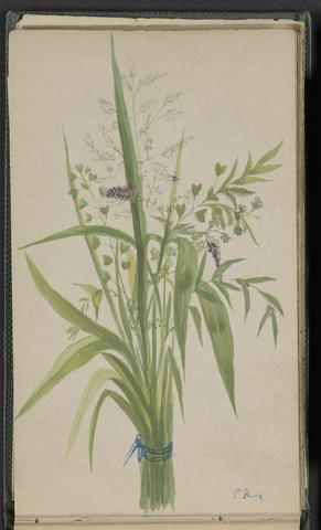 unknown artist Bouquet of Flowers and Grasses