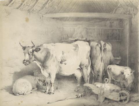  Sheep and Cattle in a Barn
