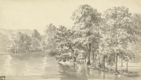 Luke Sullivan Trees by a Lake