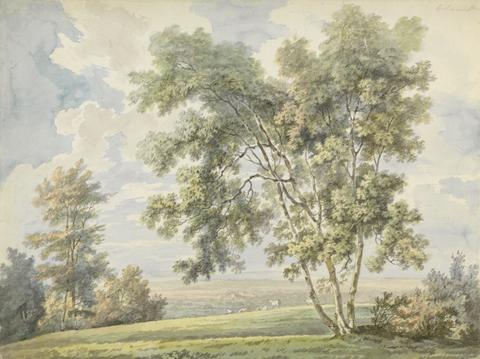 George Barret Landscape with Trees and Sheep (Park Landscape with Sheep)
