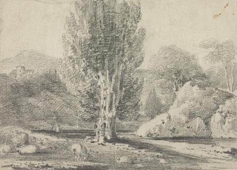 Rev. William Warren Porter Landscape Study with Tall Tree and Sheep