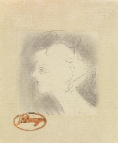 unknown artist Profile of the Head of a Lady