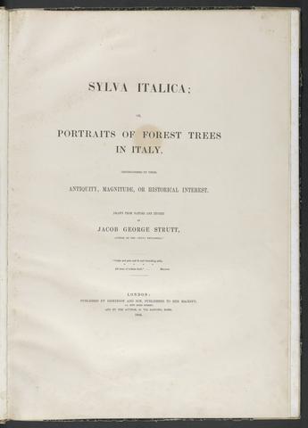Strutt, Jacob George, 1790-1864. Sylva Italica, or Portraits of forest trees in Italy.