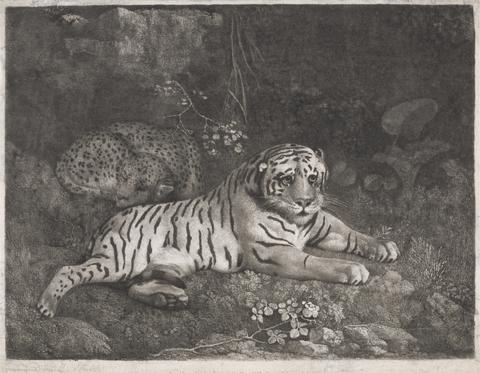 George Stubbs A Tiger and a Sleeping Leopard