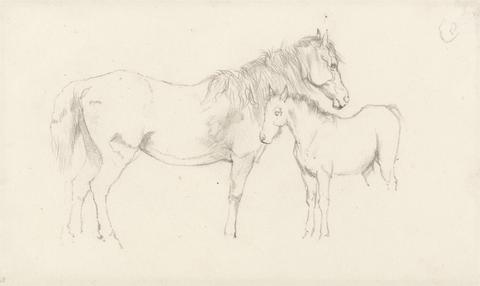Arthur James Stark Mare and Foal