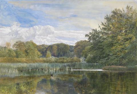 George Vicat Cole The Mill Pond, Evelyn Woods