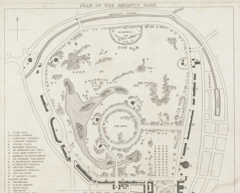 unknown artist Plan of Regent's Park