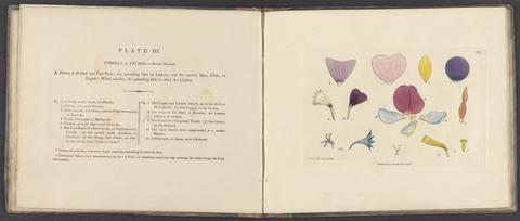 A botanical drawing-book, or, An easy introduction to drawing flowers according to nature / by James Sowerby ... ; originally designed for the use of his pupils ...