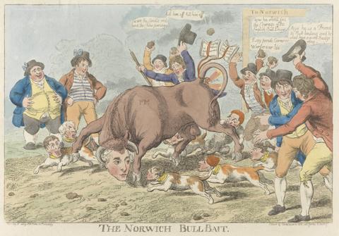 Charles Williams The Norwich Bull-Bait
