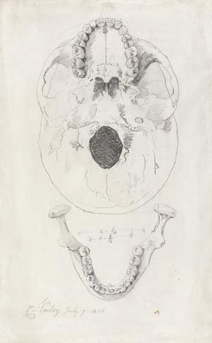Cornelius Varley A measured drawing of a skull