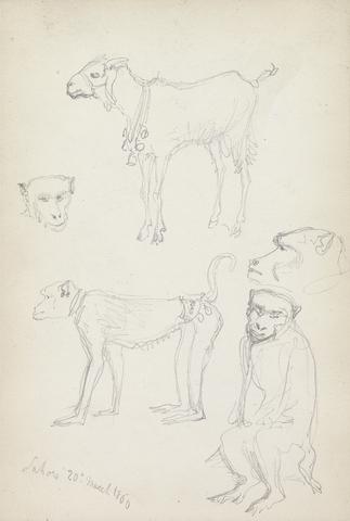 William Simpson Monkeys and a Goat, Lahore, 20 March 1860