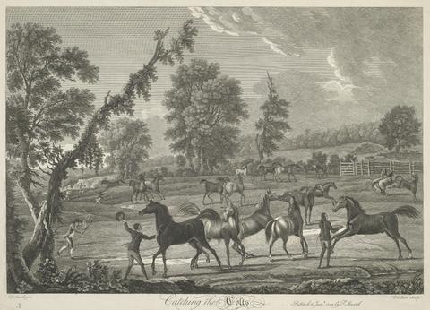 William Elliot [Horse-racing] Set of six: 3. Catching the Colts