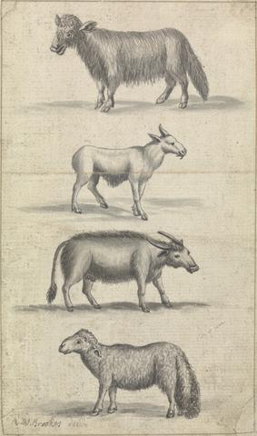 Richard Brookes Sheep, and Three Animals