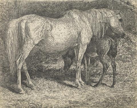 unknown artist Mare and Foal