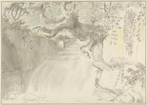 Anthony Devis Waterfall and Tree Trunk