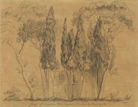 John Flaxman Trees in the Villa Negroni Planted by M. Angelo