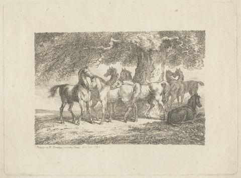 Samuel Howitt Herd of Eight Horses under a Tree