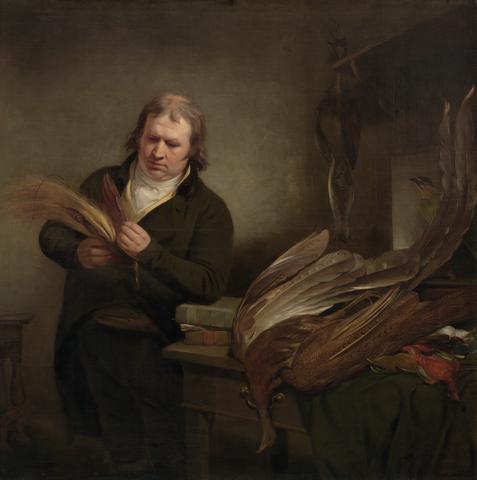 Ramsay Richard Reinagle An Ornithologist, Possibly John Latham