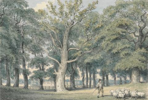 Samuel Howitt A Park Landscape with Shepherd and Sheep