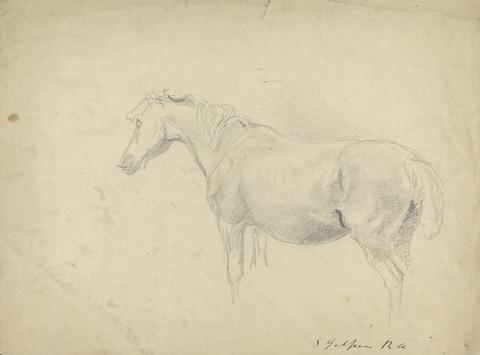 Sawrey Gilpin Sketch of a Horse