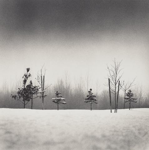 Michael Kenna Small Trees, Anchorage, Alaska, USA #13/45