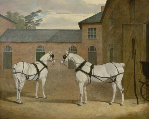 John Frederick Herring Grey carriage horses in the coachyard at Putteridge Bury, Hertfordshire