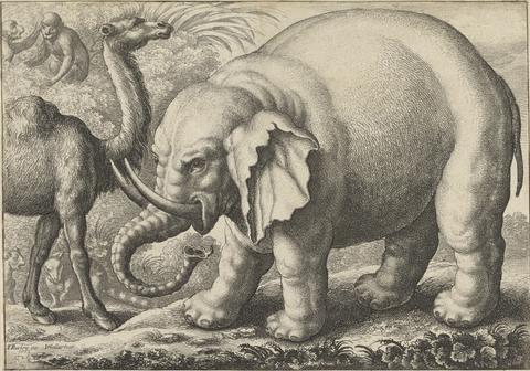 Wenceslaus Hollar An Elephant and a Camel