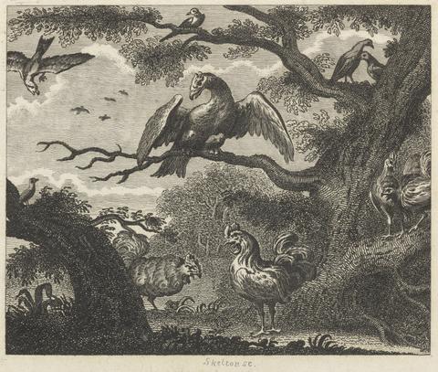 William Skelton The Vulture, the Sparrow, and other Birds