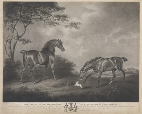 William Ward Racing: Thornton Castle and Thorntoniana, both the property of Lt. Col. Thornton