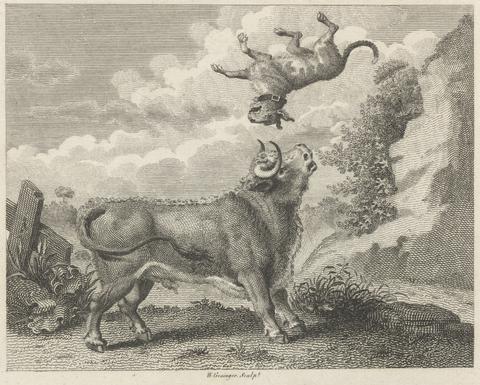 W. Grainger Fable IX. The Bull and the Mastiff