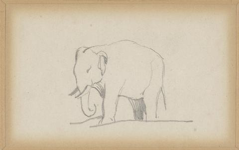 Daniel Maclise An Elephant, facing left