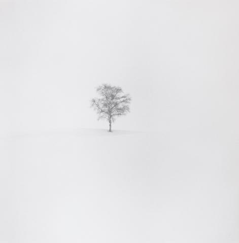 Michael Kenna Field of Snow, Biei, Hokkaido, Japan #13/45