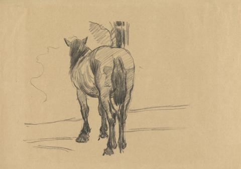 Robert Polhill Bevan Sketch of a Horse